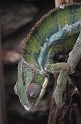 Kids_DZoo_Safari-I (50)